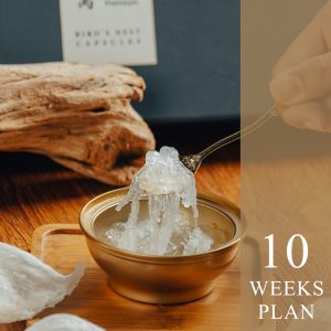 10 Weeks Plan
