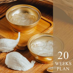 20 Weeks Plan