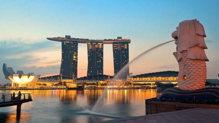 Birds Nest Singapore