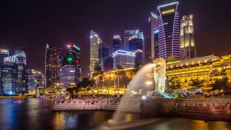 bird nest singapore