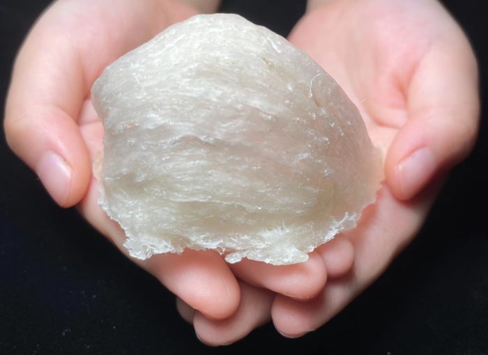 6 Star Crystal Bird's Nest (官燕) Bliss Nest Capsules - Image 2